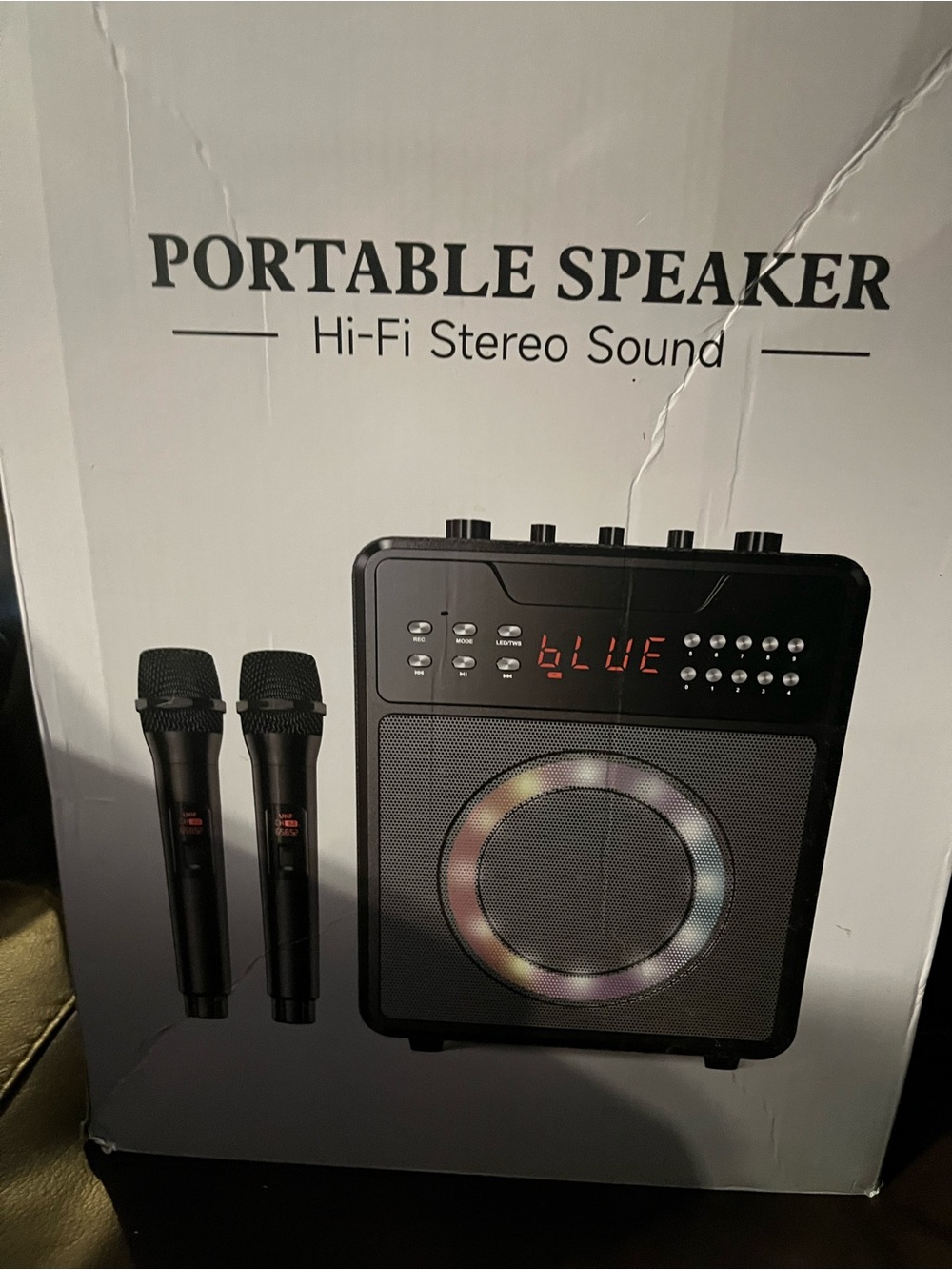 Portable Bluetooth Karaoke Speaker with Dual Mics - Black